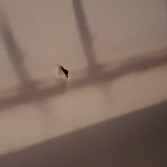 RJ Barrett poster - Picture 8 of 8